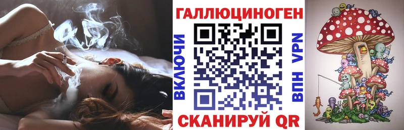где продают   Шилка  Галлюциногенные грибы мухоморы 